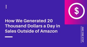 How We Generated 20 Thousand Dollars a Day in Sales Outside of Amazon