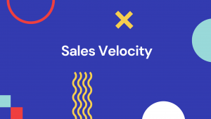 amazon sales velocity 