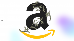 Amazon Vine Program