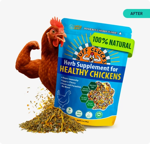 After - AMZ One Step 