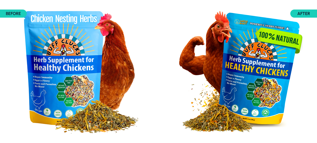 AMZ One Step Results