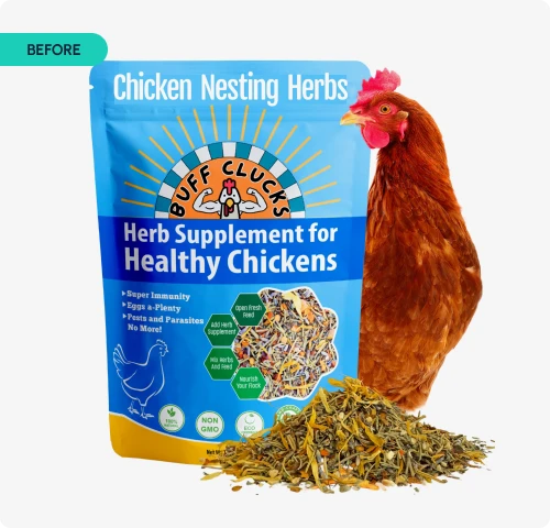 Before - AMZ One Step